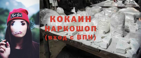 спиды Магас