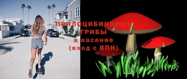 спиды Магас