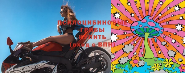 первитин Лабытнанги