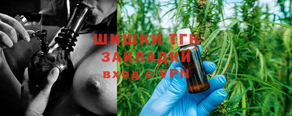 гидра Майский