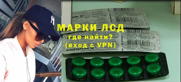 ПСИЛОЦИБИНОВЫЕ ГРИБЫ Бикин